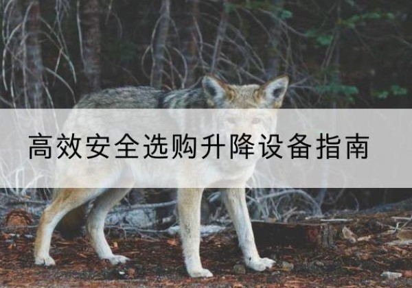 开阳升降货梯厂家推荐-*安全选购升降设备指南