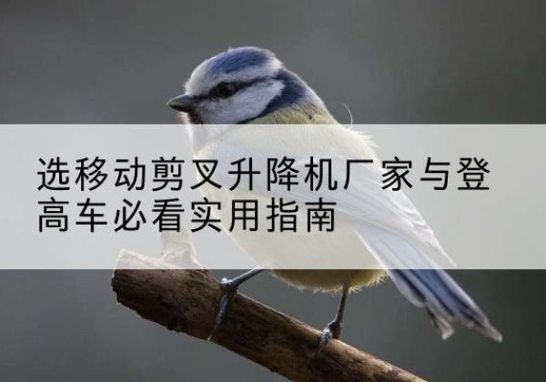 开阳电动升降机厂家-选移动剪叉升降机厂家与登高车必看实用指南
