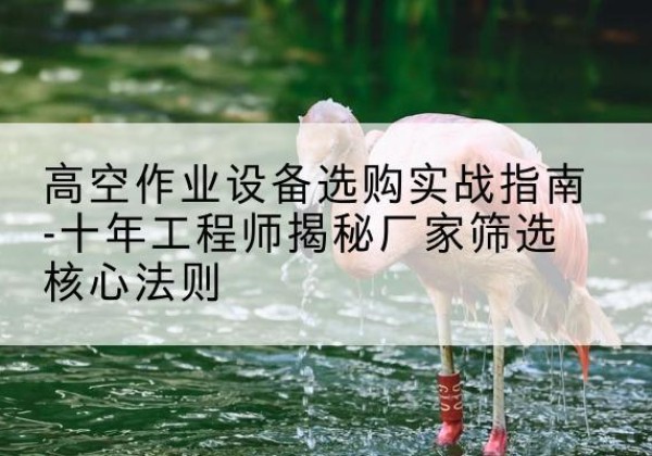 开阳剪叉式升降机厂家-高空作业设备选购实战指南-十年工程师揭秘厂家筛选核心法则